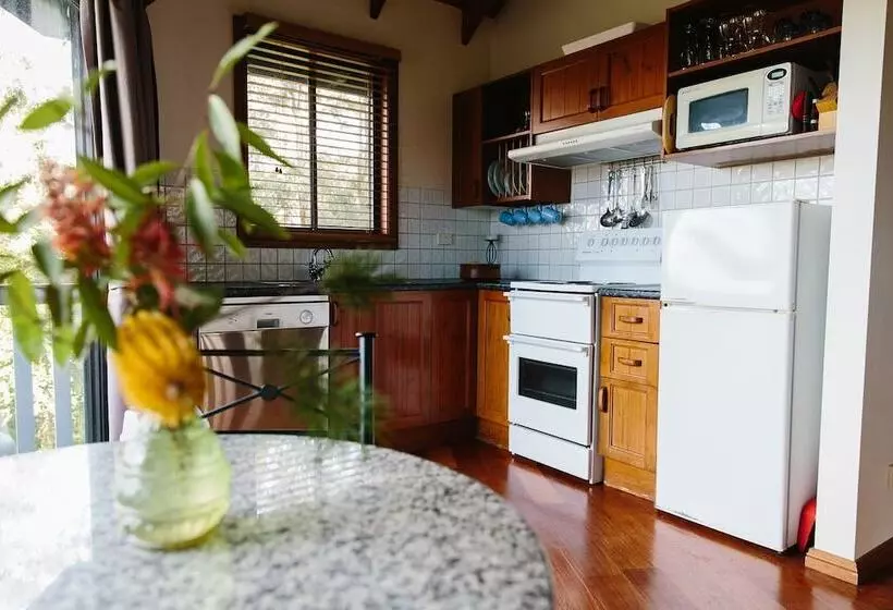 Bluegums Cabins Barrington Tops