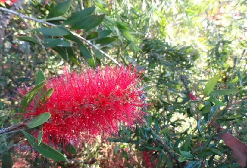 Down To Earth Farm Retreat