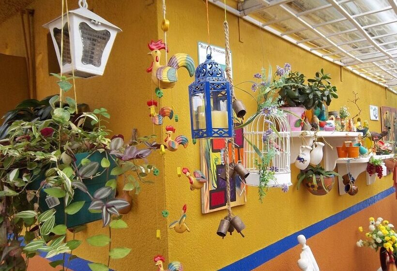 Finca Hotel Veracruz