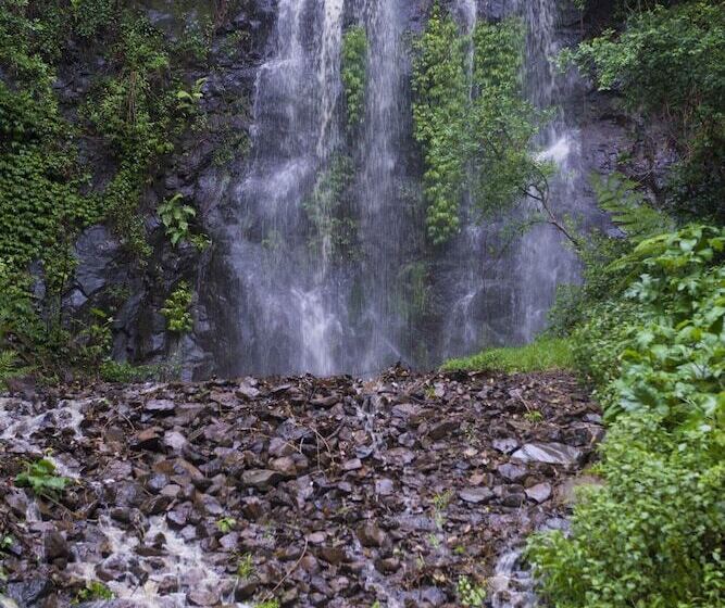 Nimbin Waterfall Retreat