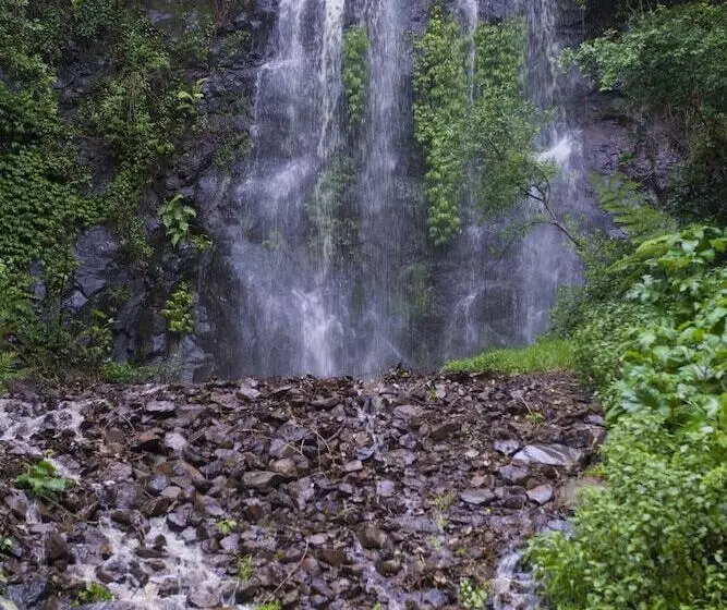 Nimbin Waterfall Retreat