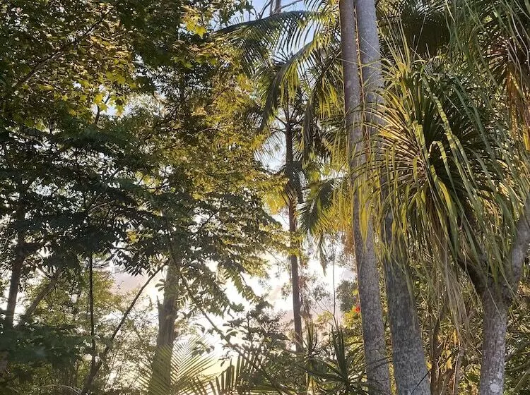Nimbin Waterfall Retreat
