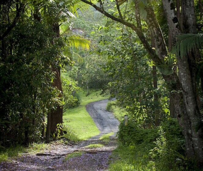 Nimbin Waterfall Retreat