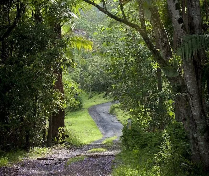 Nimbin Waterfall Retreat