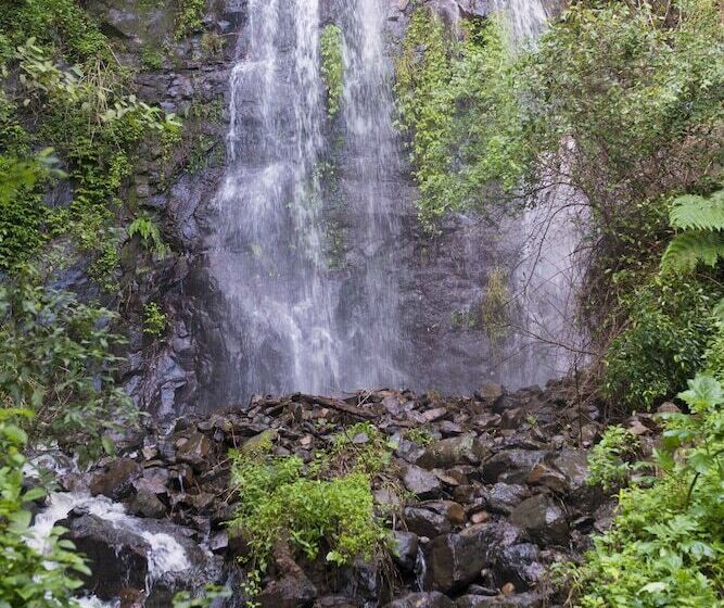 Nimbin Waterfall Retreat