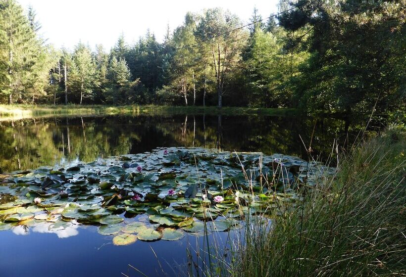 Пансион Auberge De La Cholotte