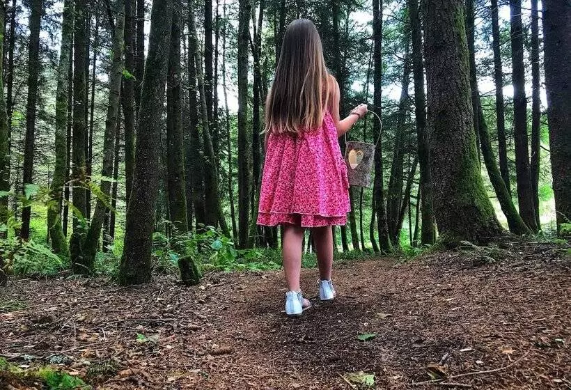 Majatalo Auberge De La Cholotte