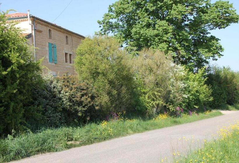 Пансион Les Terrasses Des Mimosas