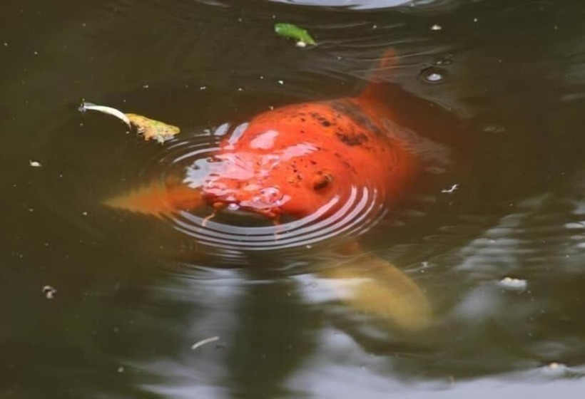 Pensjonat Propriété De La Mer D'iroise