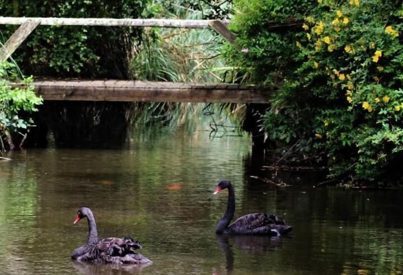 Pensjonat Propriété De La Mer D'iroise