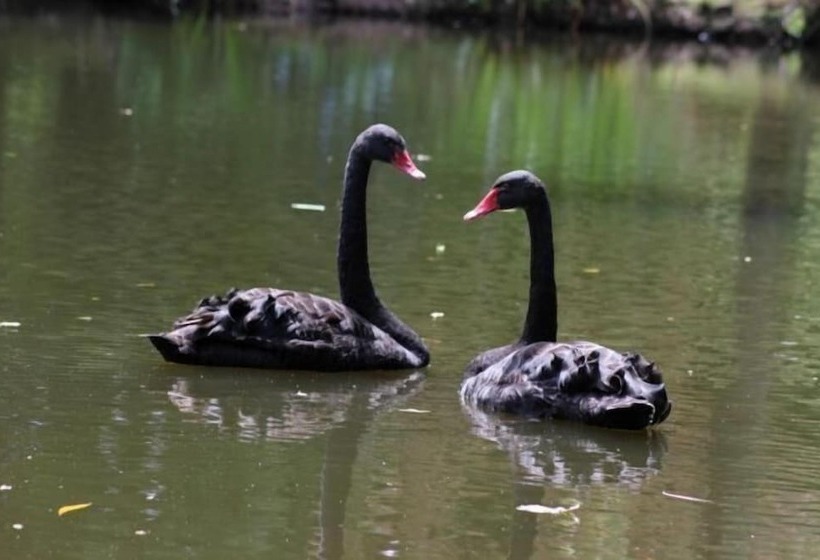 Pensjonat Propriété De La Mer D'iroise