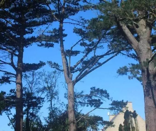 Majatalo Propriété De La Mer D'iroise