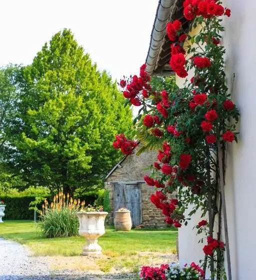 Aamiaismajoitus (B&B) Chez Céline