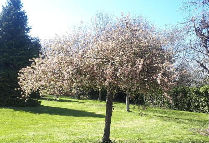 ベッドアンドブレックファースト Chez Céline