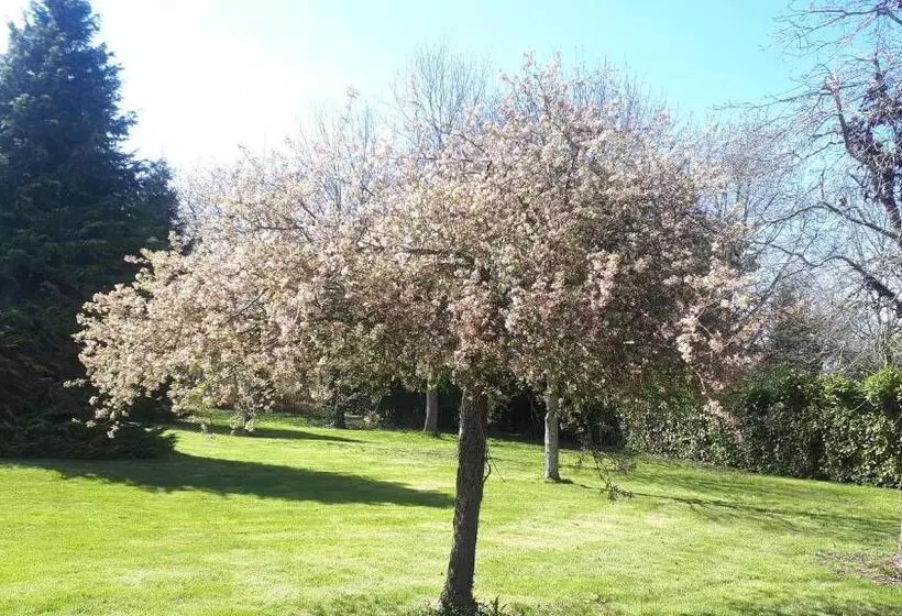 Aamiaismajoitus (B&B) Chez Céline