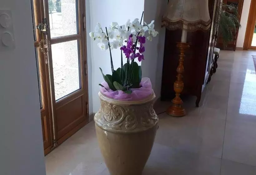 Aamiaismajoitus (B&B) Chez Céline