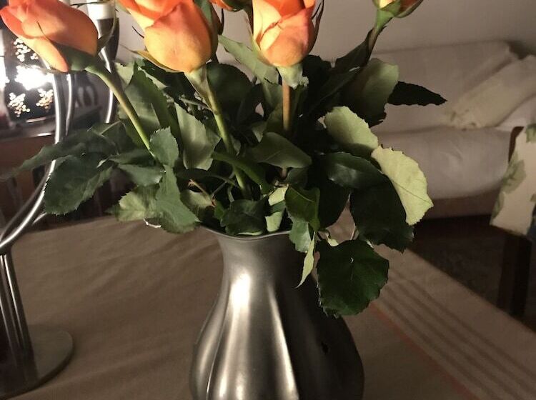 צימר La Casa Del Castello