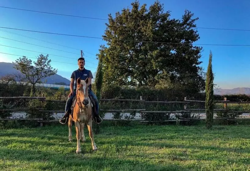 Aamiaismajoitus (B&B) La Tenuta Del Campo Di Sopra