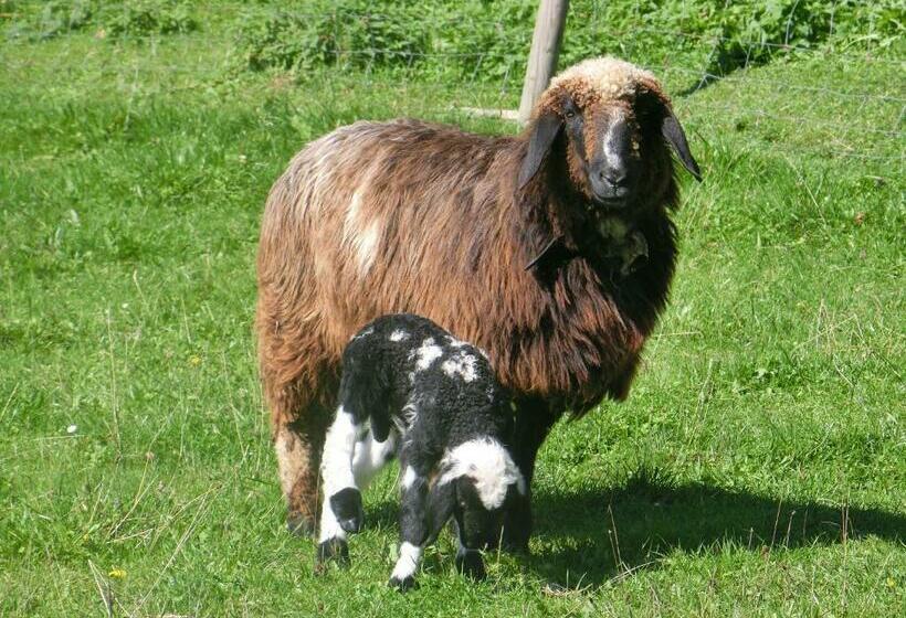 مبيت وإفطار Landgasthof Berg