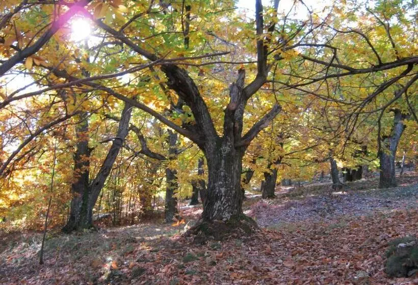Aamiaismajoitus (B&B) Mas Le Nogier