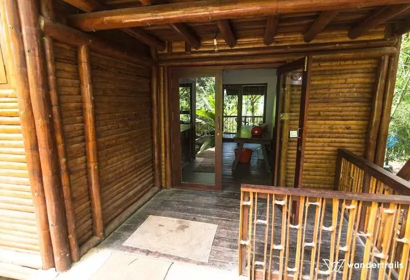 ベッドアンドブレックファースト Uravu Bamboo Grove Resort