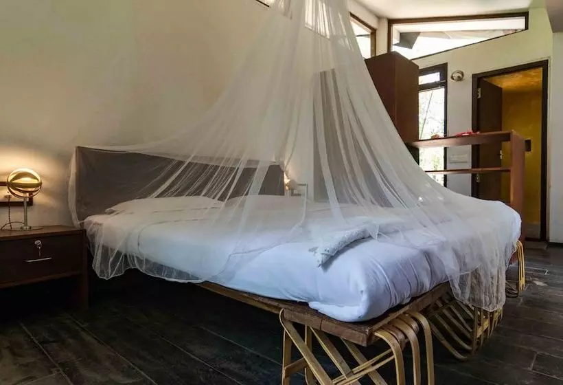 ベッドアンドブレックファースト Uravu Bamboo Grove Resort