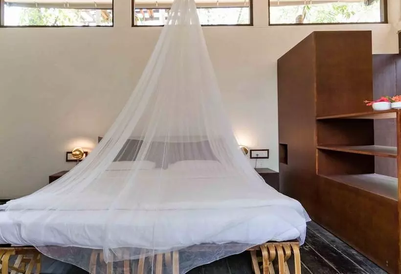 ベッドアンドブレックファースト Uravu Bamboo Grove Resort