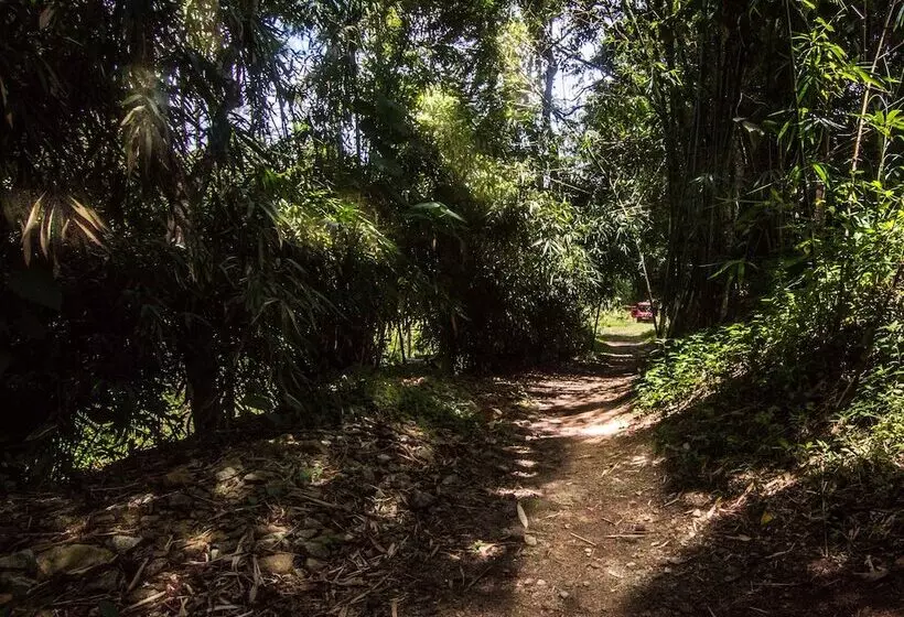 ベッドアンドブレックファースト Uravu Bamboo Grove Resort