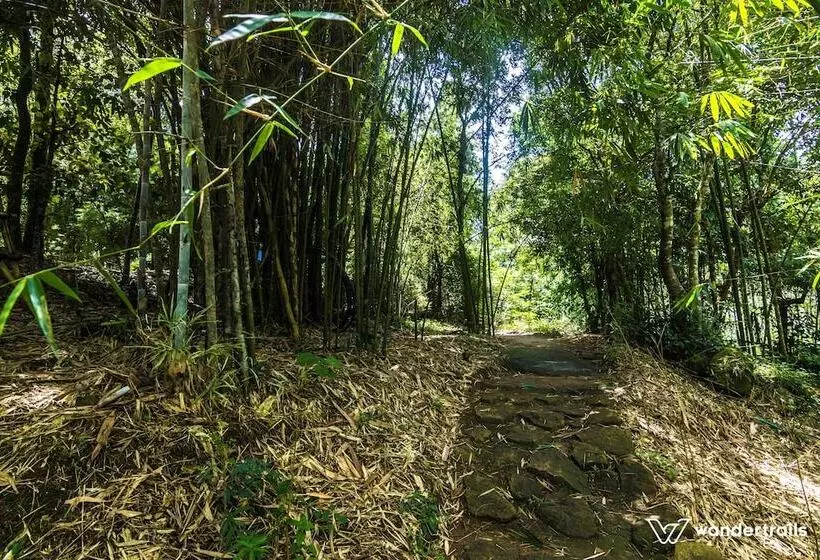 ベッドアンドブレックファースト Uravu Bamboo Grove Resort
