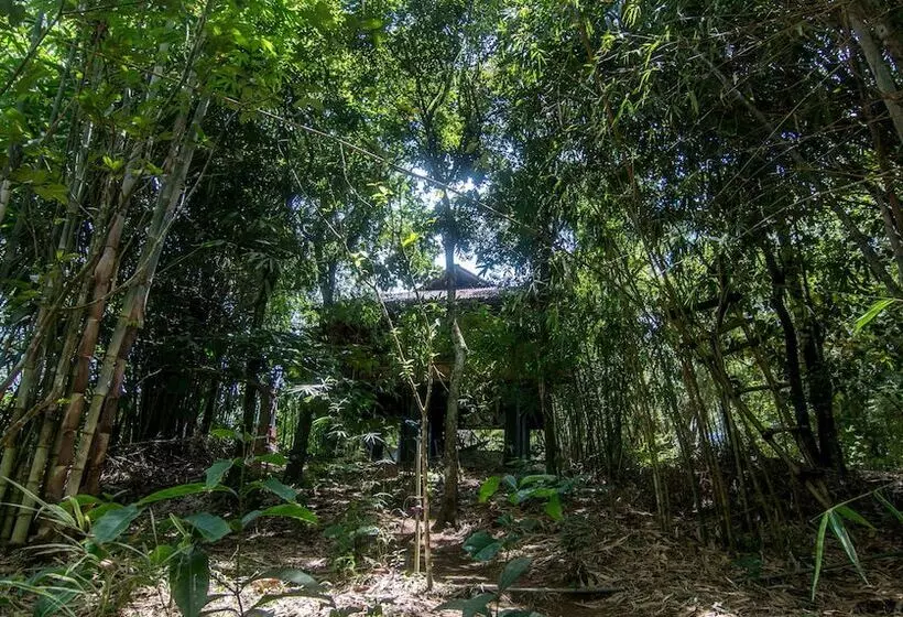 ベッドアンドブレックファースト Uravu Bamboo Grove Resort