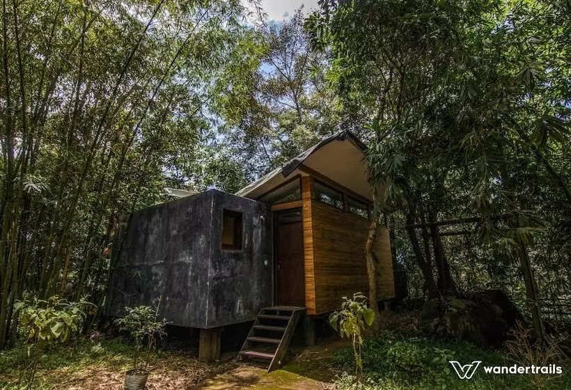 ベッドアンドブレックファースト Uravu Bamboo Grove Resort