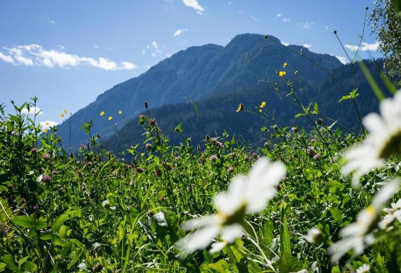 호텔 Albergo Miramonti