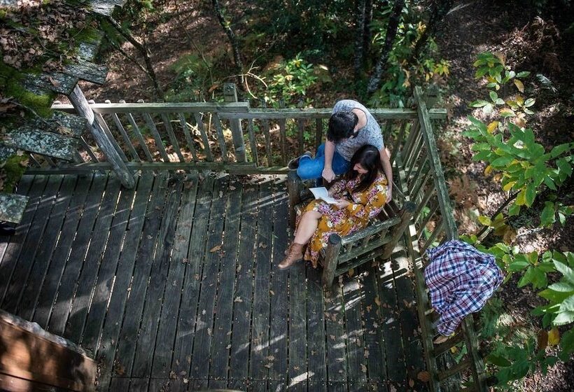 Отель Moulin De La Jarousse Les Cabanes