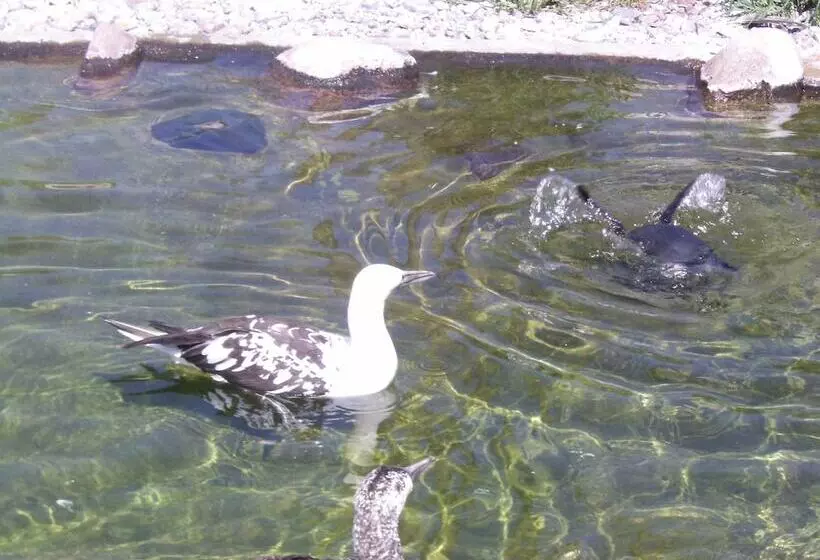 Hotelli Restaurant Marcus