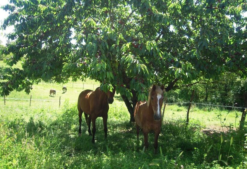 بنسيون Domaine De L'estuaire