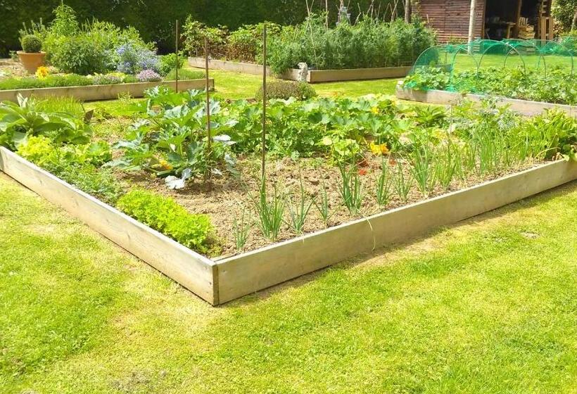 Pansiyon Le Manoir De La Bigotière