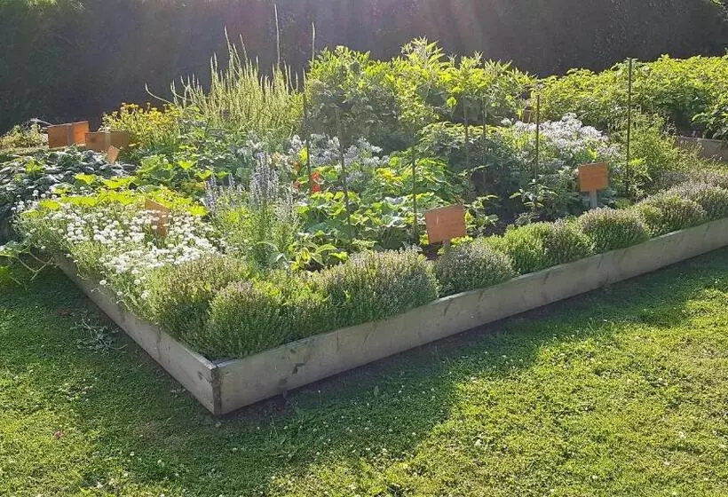 ペンション Le Manoir De La Bigotière