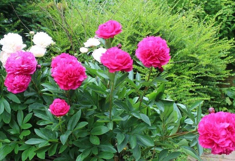 פנסיון Le Petit Rabot