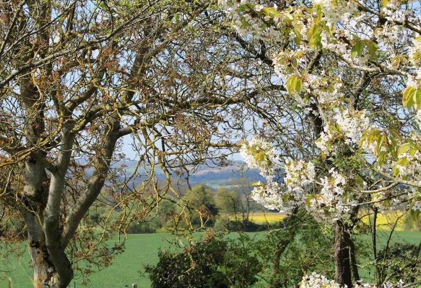 פנסיון Le Petit Rabot