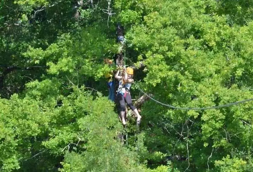 リゾートホテル Les Chalets De La Héronnière