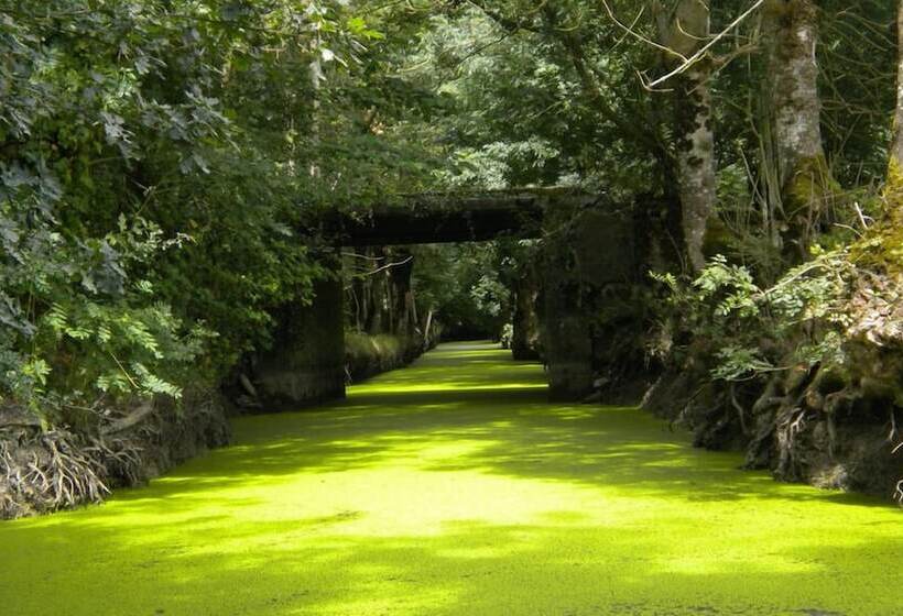 אתר נופש Les Chalets De La Héronnière