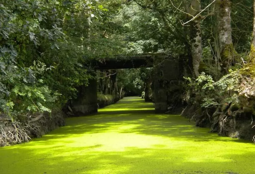 リゾートホテル Les Chalets De La Héronnière