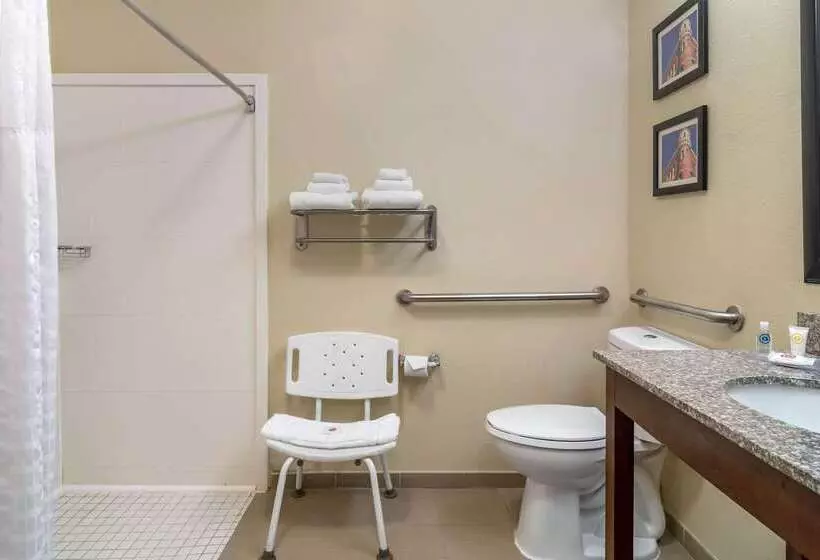 هتل Comfort Inn & Suites Macon North I75