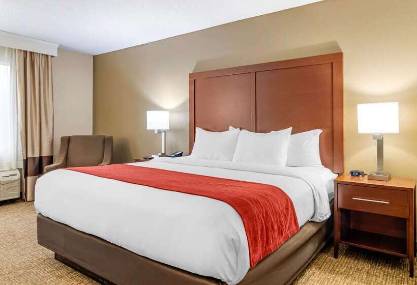 هتل Comfort Inn & Suites Macon North I75