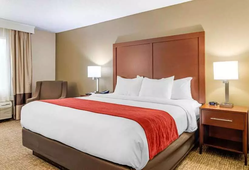 هتل Comfort Inn & Suites Macon North I75