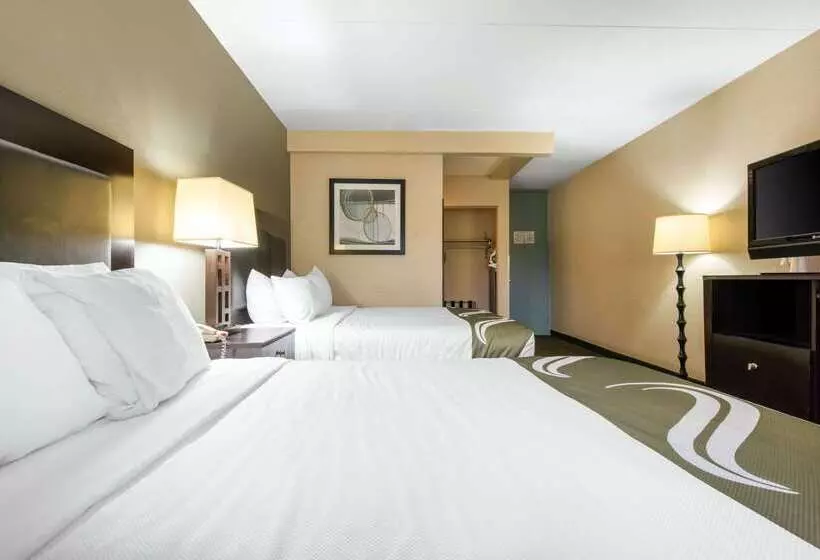 ホテル Quality Inn & Suites