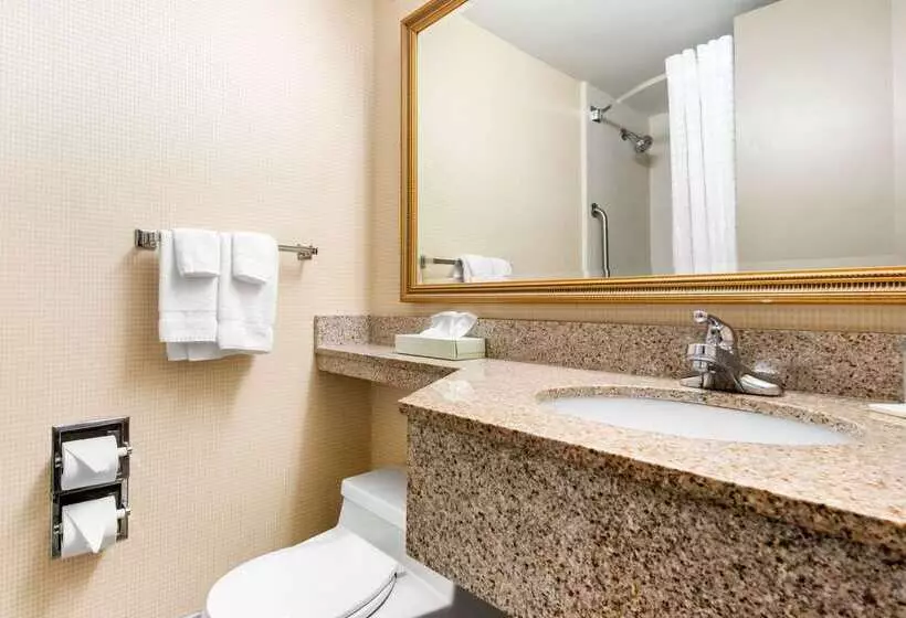 ホテル Quality Inn & Suites