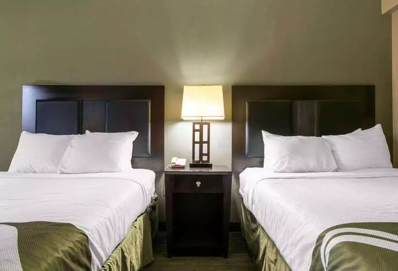 ホテル Quality Inn & Suites