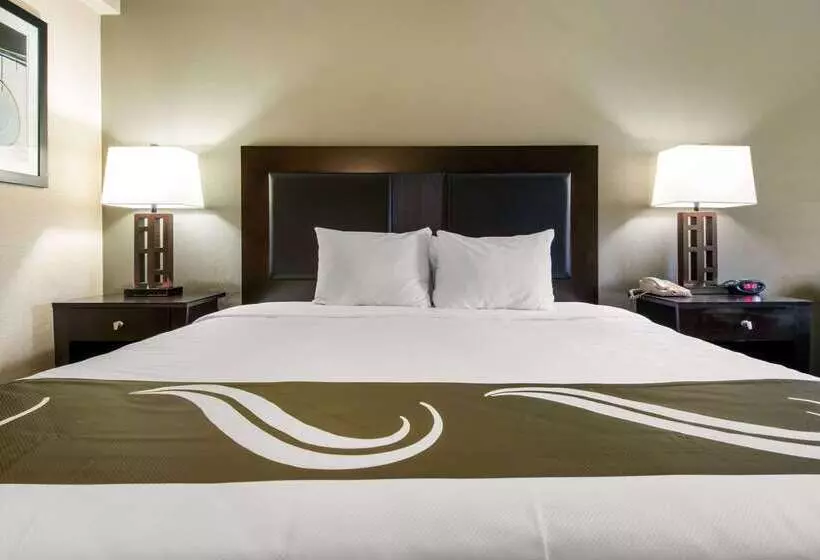 ホテル Quality Inn & Suites