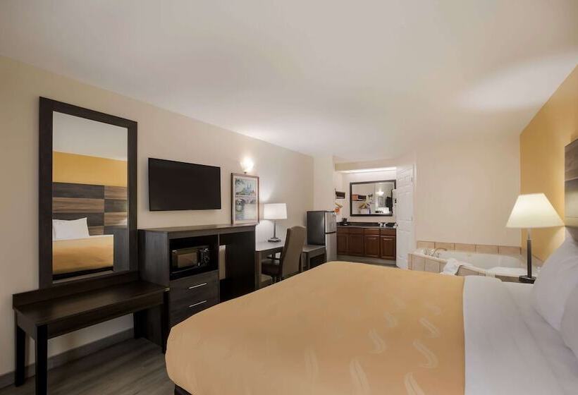 酒店 Quality Inn & Suites Near Lake Oconee